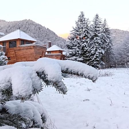Hotel Escale Cab'Ane Mittlach Esterno foto